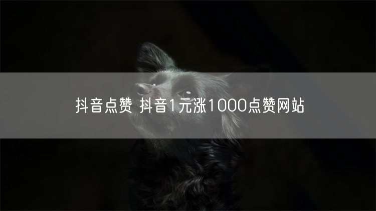 抖音点赞 抖音1元涨1000点赞网站