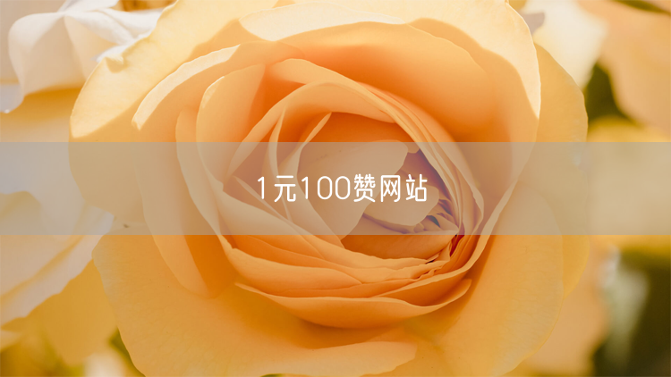 1元100赞网站