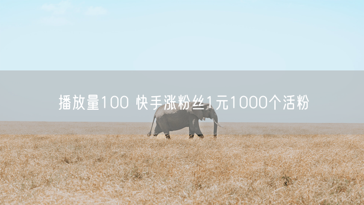 播放量100 快手涨粉丝1元1000个活粉