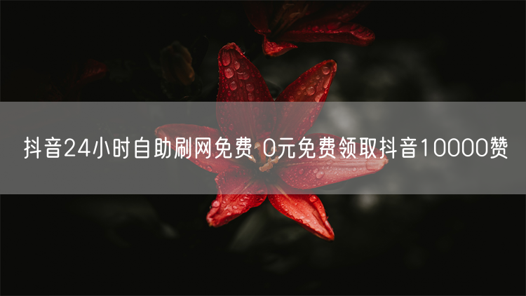 抖音24小时自助刷网免费 0元免费领取抖音10000赞