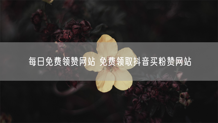 每日免费领赞网站 免费领取抖音买粉赞网站