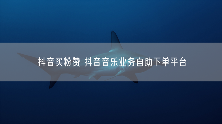 抖音买粉赞 抖音音乐业务自助下单平台