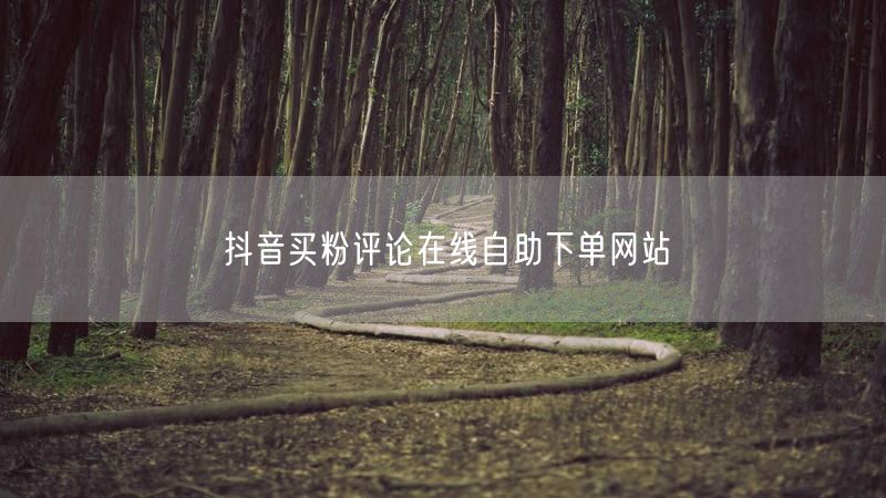 抖音买粉评论在线自助下单网站