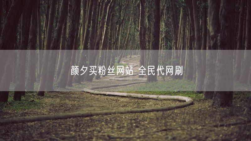 颜夕买粉丝网站 全民代网刷
