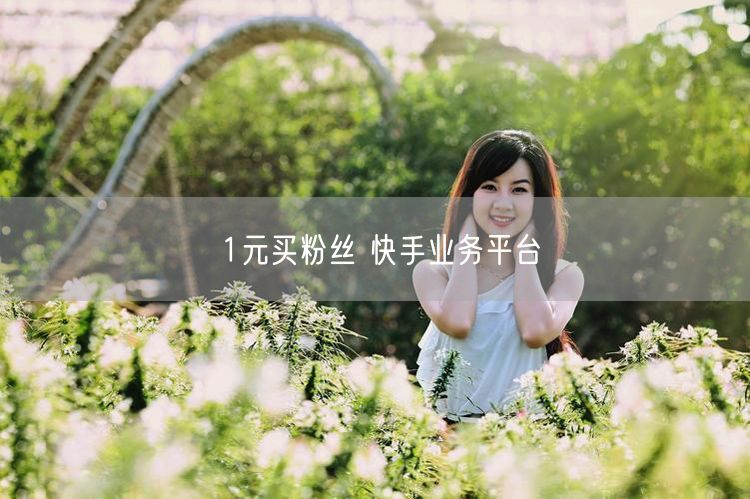 1元买粉丝 快手业务平台