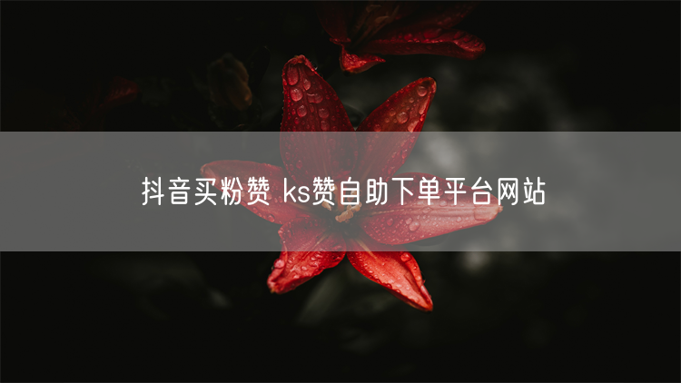 抖音买粉赞 ks赞自助下单平台网站