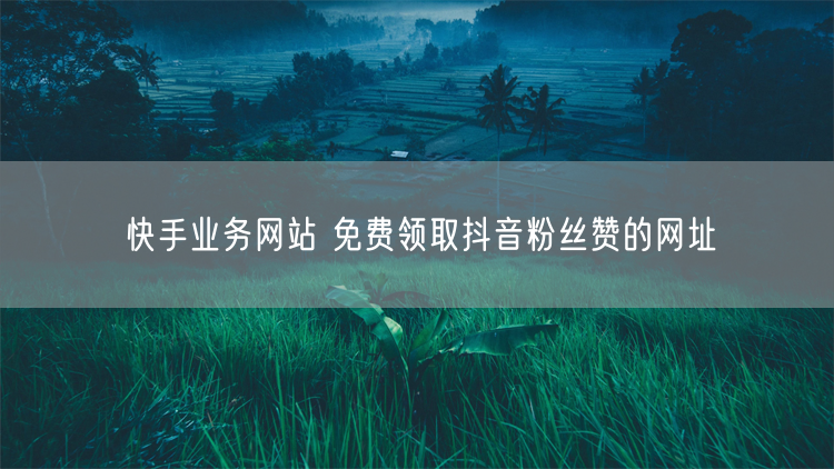 快手业务网站 免费领取抖音粉丝赞的网址