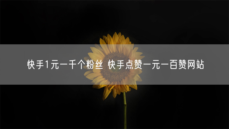 快手1元一千个粉丝 快手点赞一元一百赞网站