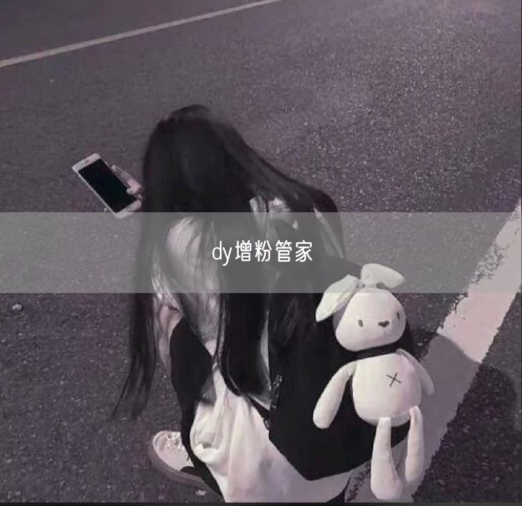 dy增粉管家