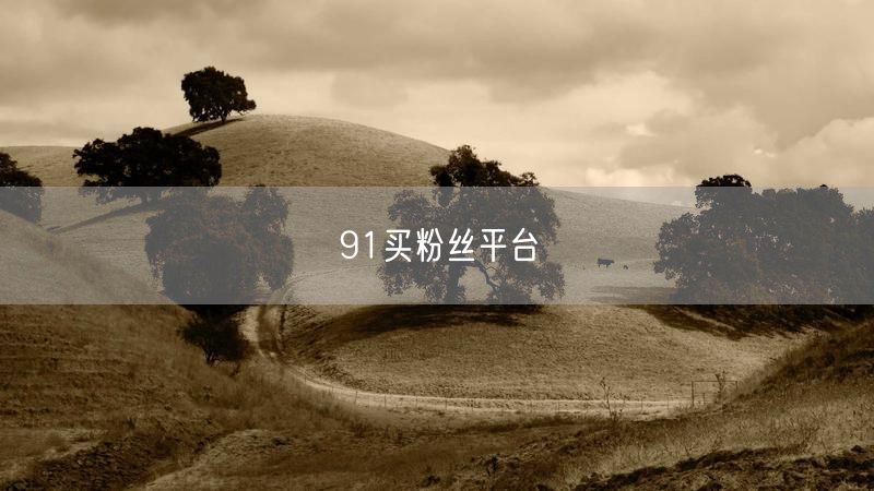91买粉丝平台