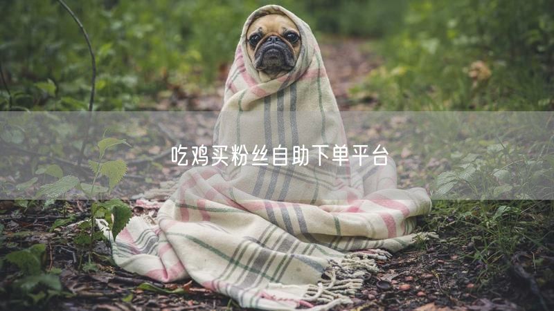 吃鸡买粉丝自助下单平台