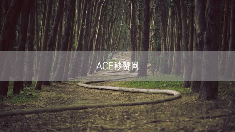 ACE秒赞网