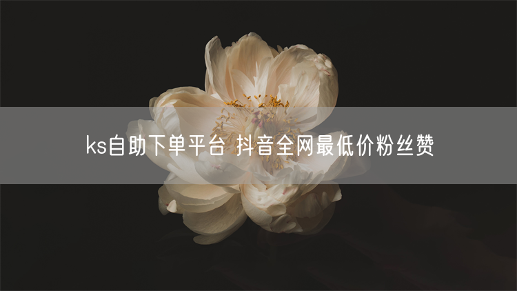ks自助下单平台 抖音全网最低价粉丝赞