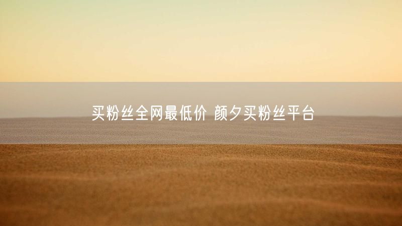买粉丝全网最低价 颜夕买粉丝平台