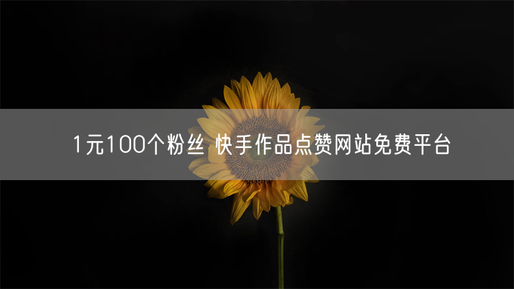 1元100个粉丝 快手作品点赞网站免费平台