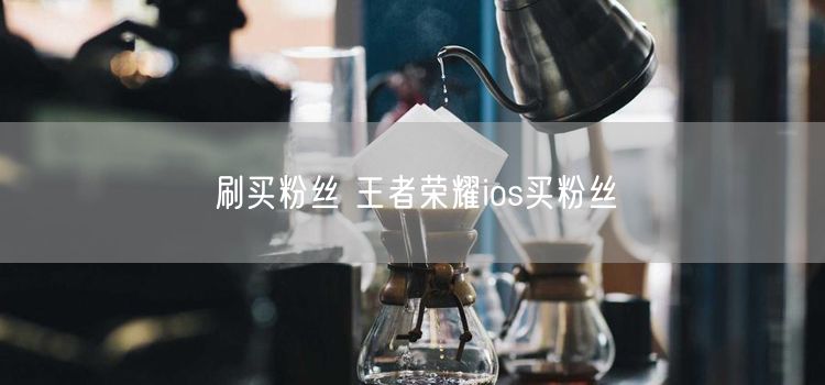 刷买粉丝 王者荣耀ios买粉丝