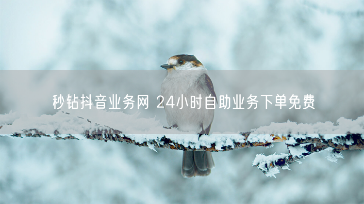 秒钻抖音业务网 24小时自助业务下单免费