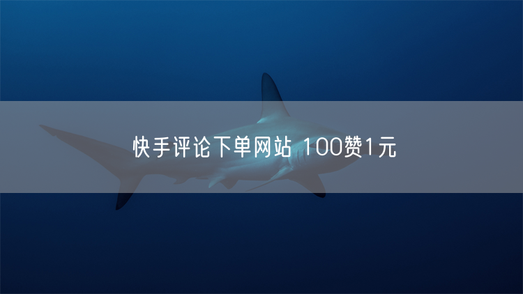 快手评论下单网站 100赞1元