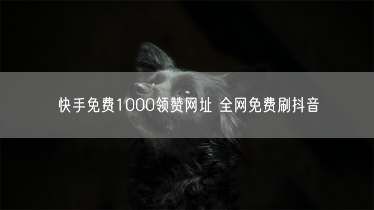 快手免费1000领赞网址 全网免费刷抖音
