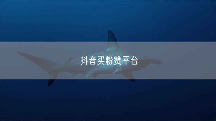 抖音买粉赞平台