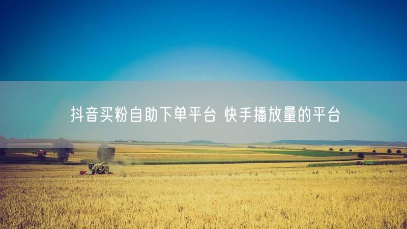 抖音买粉自助下单平台 快手播放量的平台