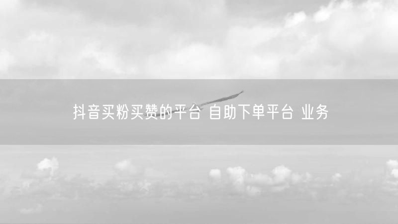 抖音买粉买赞的平台 自助下单平台 业务