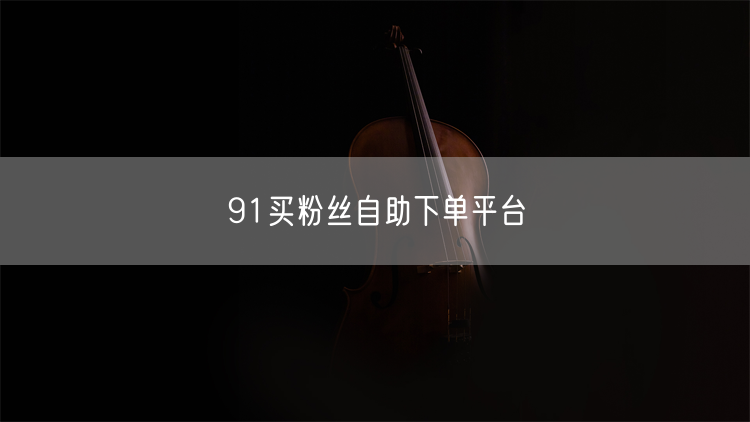 91买粉丝自助下单平台