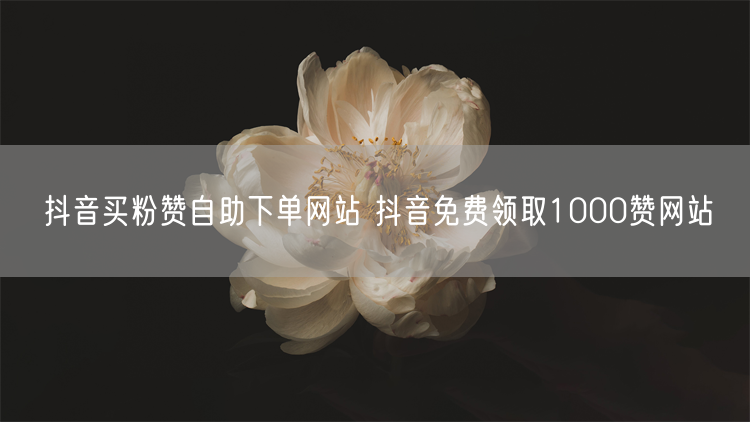 抖音买粉赞自助下单网站 抖音免费领取1000赞网站