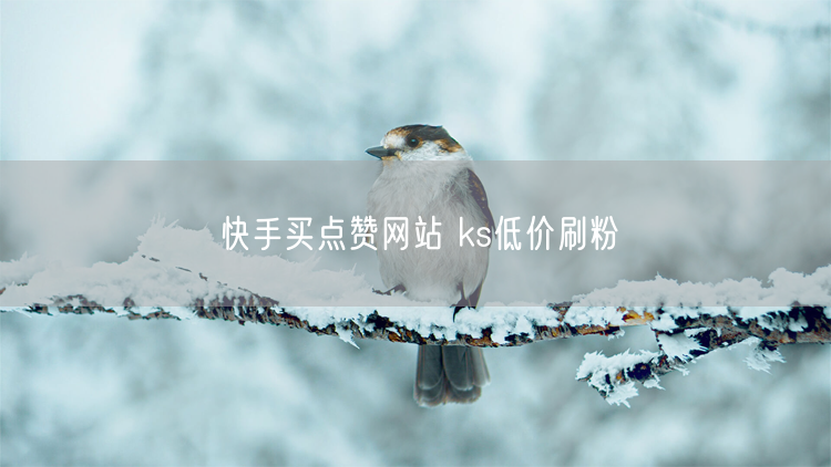 快手买点赞网站 ks低价刷粉