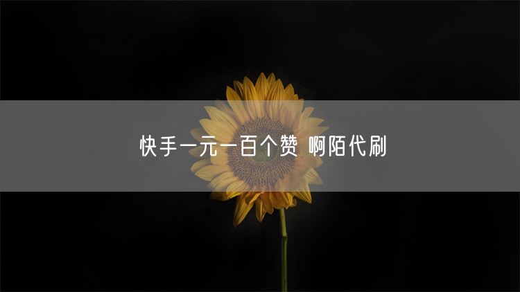 快手一元一百个赞 啊陌代刷