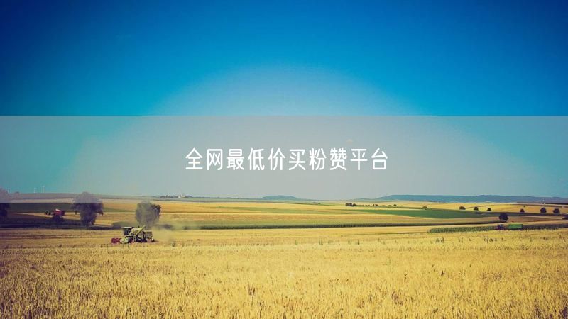 全网最低价买粉赞平台