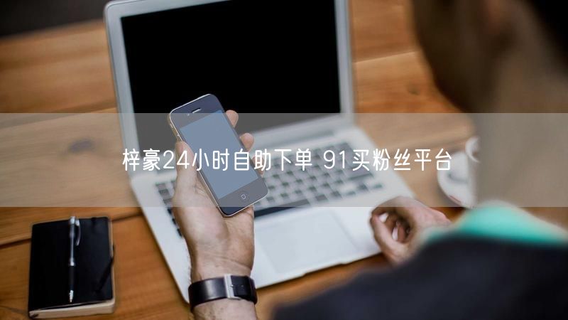 梓豪24小时自助下单 91买粉丝平台