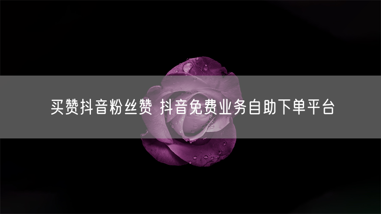 买赞抖音粉丝赞 抖音免费业务自助下单平台