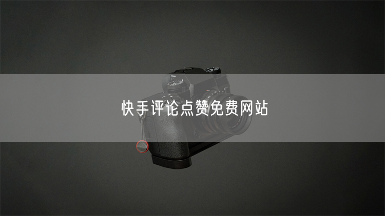 快手评论点赞免费网站