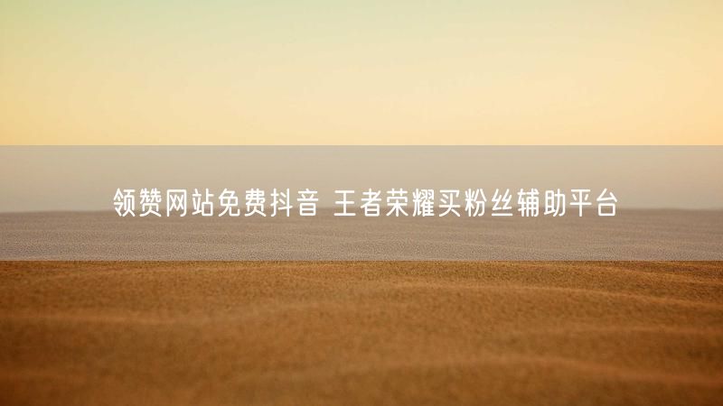 领赞网站免费抖音 王者荣耀买粉丝辅助平台