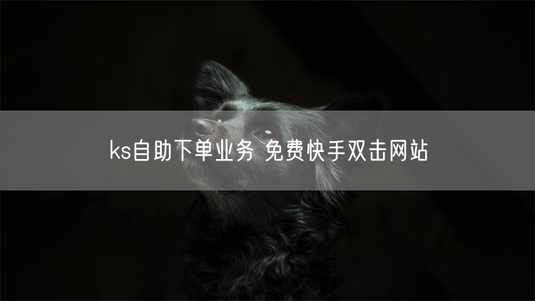 ks自助下单业务 免费快手双击网站