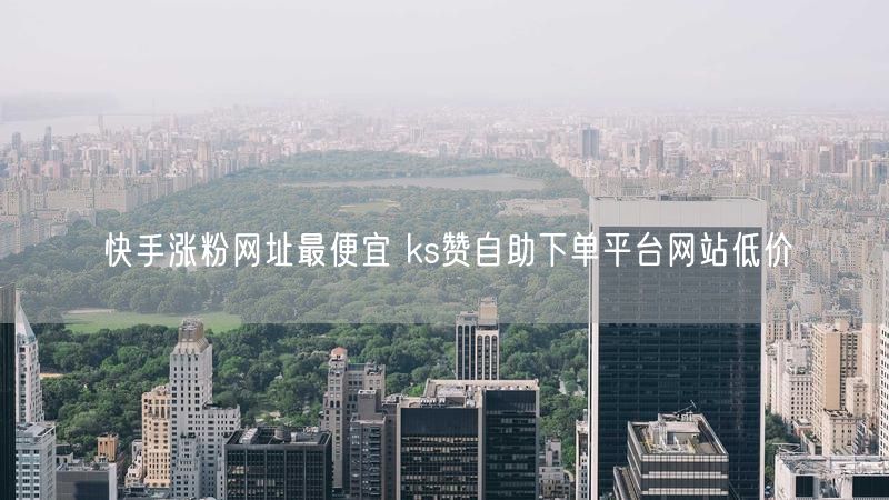 快手涨粉网址最便宜 ks赞自助下单平台网站低价