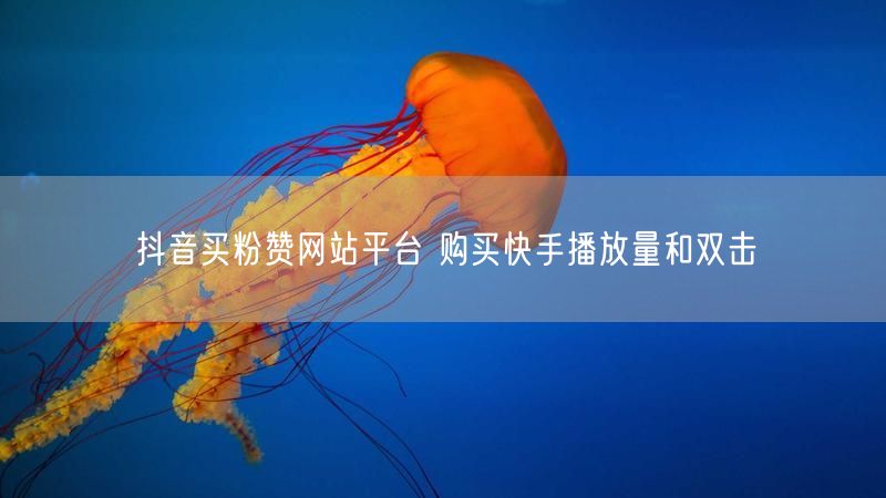 抖音买粉赞网站平台 购买快手播放量和双击