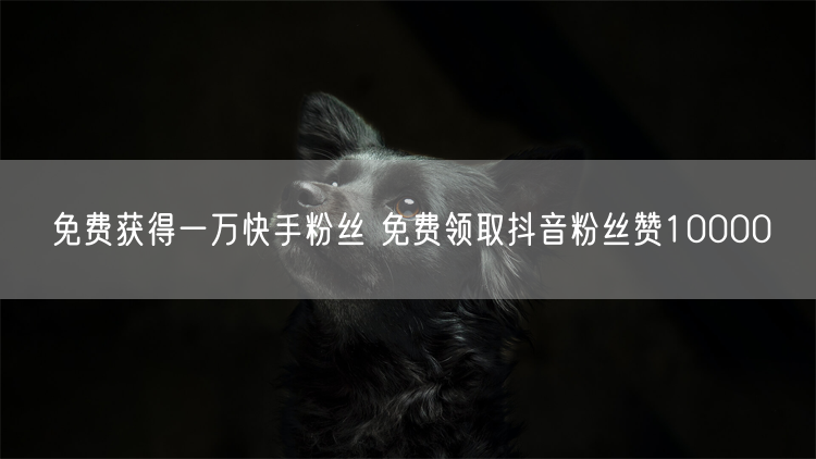 免费获得一万快手粉丝 免费领取抖音粉丝赞10000