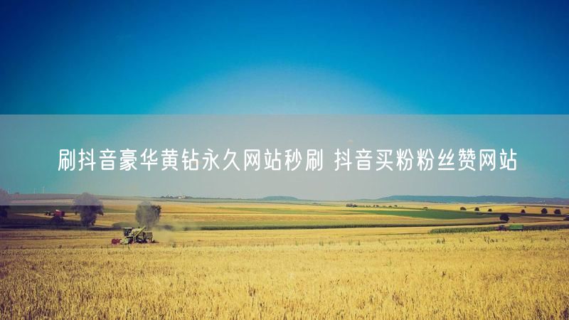 刷抖音豪华黄钻永久网站秒刷 抖音买粉粉丝赞网站