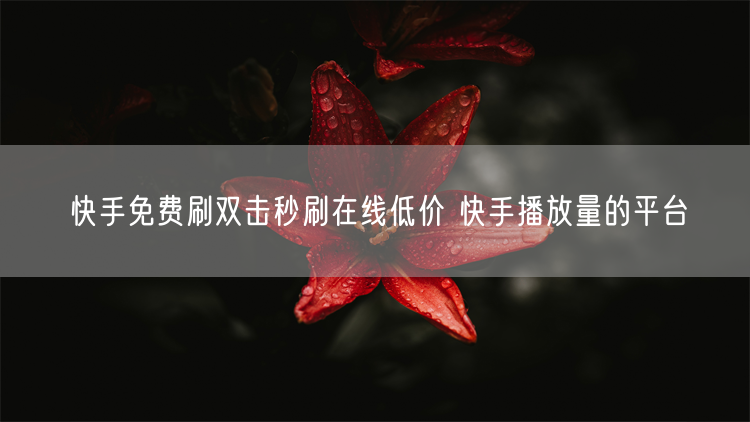 快手免费刷双击秒刷在线低价 快手播放量的平台