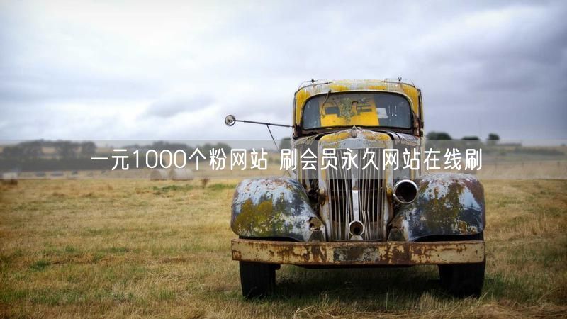 一元1000个粉网站 刷会员永久网站在线刷