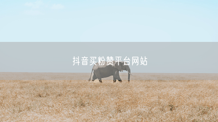 抖音买粉赞平台网站