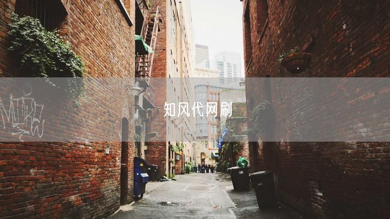 知风代网刷