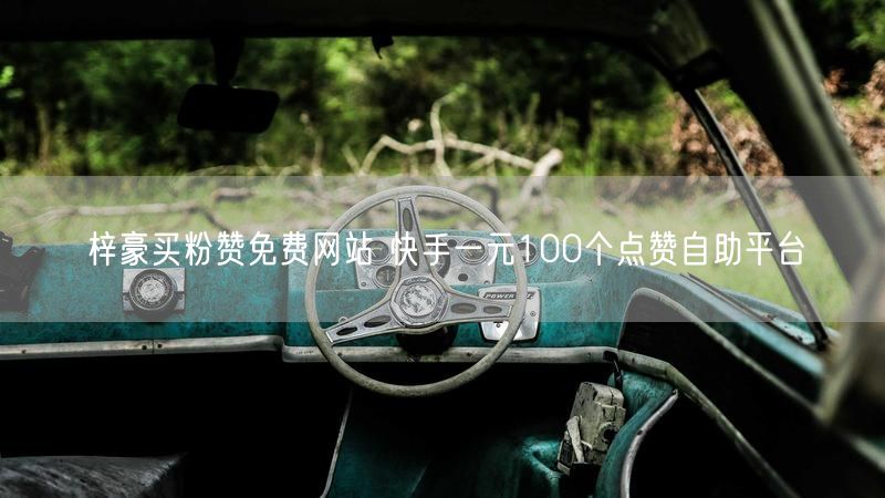 梓豪买粉赞免费网站 快手一元100个点赞自助平台