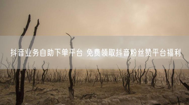 抖音业务自助下单平台 免费领取抖音粉丝赞平台福利
