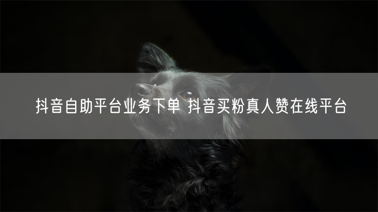 抖音自助平台业务下单 抖音买粉真人赞在线平台