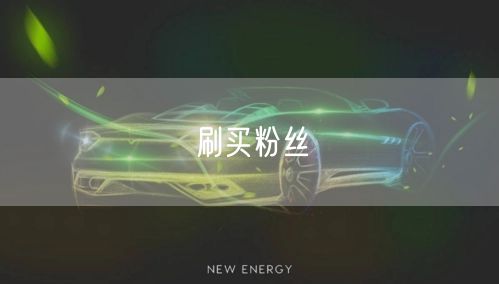 刷买粉丝