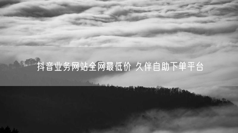 抖音业务网站全网最低价 久伴自助下单平台