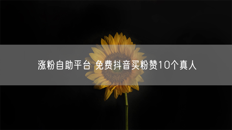 涨粉自助平台 免费抖音买粉赞10个真人